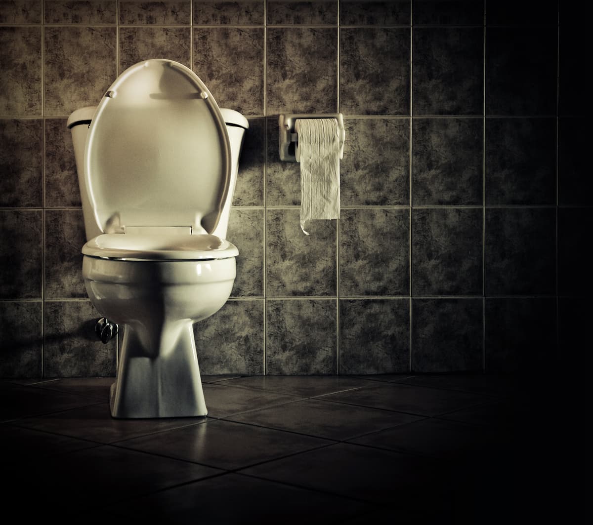 Dark Toilet