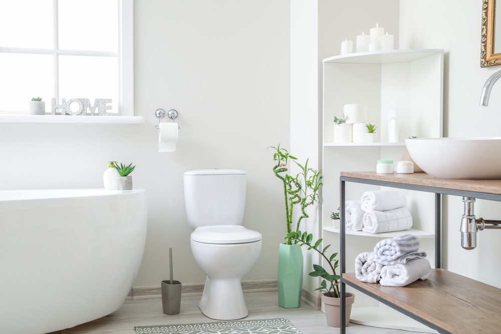 Toilet Repair and Installation Services in Newark, NJ